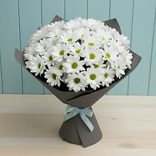 Букет цветов из:  Хризантемы в Бире