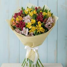 Букет цветов из:  Альстромерии в Бире