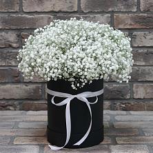 Цветочная композиция из Гипсофила в шляпной коробке в Бире