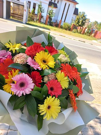 Букет цветов из: Герберы в Бире